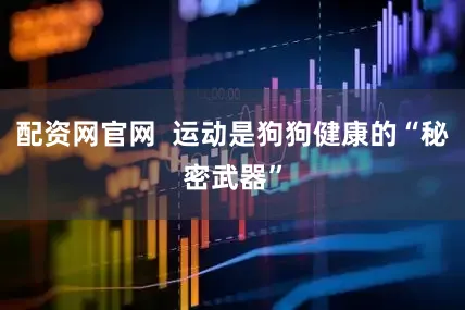 配资网官网  运动是狗狗健康的“秘密武器”