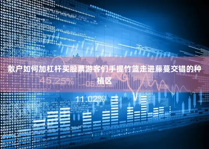 散户如何加杠杆买股票游客们手提竹篮走进藤蔓交错的种植区